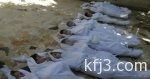 الجيش الأردنى ينفى حالة تسلل أو تهريب باتجاه إحدى الدول المجاورة
