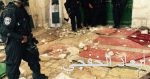 خادم الحرمين يهنئ ترامب بمناسبة فوزه بالانتخابات الأمريكية