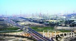 «الاتحاد للطيران» توقع إعلاناً لدعم منع الاتجار بالحياة البرية