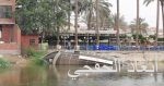 الشرطة العراقية تعتقل 4 إرهابيين فى العاصمة بغداد