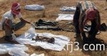 التخصصات الصحية تمدد فترة إجراءات الالتحاق ببرامج شهادة الاختصاص