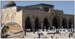 الأمم المتحدة تعلن بدء تحرك حافلات المرحلة الأخيرة لإجلاء المدنيين من حلب