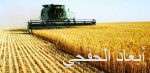 صندوق الاستثمارات يستثمر مليار دولار في شركة صناعة السيارات الكهربائية «لوسيد موتورز»