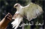 الجامعة العربية تُرحب بتبني اليونسكو قرارًا جديدًا يؤكد فلسطينية “القدس”