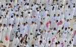 مجلس الوزارء: إيقاف زراعة الأعلاف الخضراء مدة ثلاث سنوات