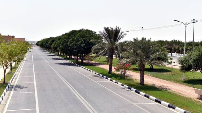 أمانة الشرقية تنسق 45 ألف متر مربع من المسطحات الخضراء بمليجة