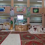 الفرع السادس في مسابقة التميز يختتم بفوز حلقة مسجد معاذ بن جبل
