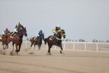 بدعم العثيم : (٤) سيارات في الحفل الحادي عاشر لميدان الخفجي