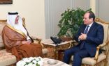 السيسي يؤكد تضامن مصر مع المملكة العربية السعودية حكومةً وشعباً