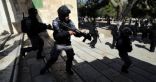الاحتلال الإسرائيلى يمنع ترميم مصلى قبة الصخرة ويهدد العاملين بالاعتقال