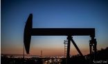 النفط ينزل في ظل تفوق مخاوف الطلب على اضطراب الملاحة في قناة السويس