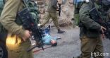 استشهاد فلسطينى وإصابة اثنين آخرين برصاص الجيش الإسرائيلى بالضفة