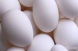 دراسة: يمكن حفظ البيض خارج الثلاجة