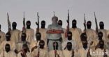 جماعة أنصار الدين تعلن مسؤوليتها عن قتل 17 جنديا فى مالي