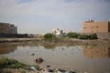 انتشار الروائح والبعوض على اطراف المستنقعات المائية في احياء الخفجي