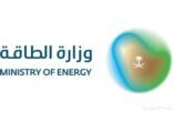 وزارة الطاقة تعلن بدء مرحلة التأهيل لمنافسات تراخيص أنشطة إنشاء وتملك وتشغيل شبكات توزيع الغاز الطبيعي في 5 مدن صناعية