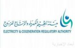 هيئة تنظيم الكهرباء والإنتاج المزدوج تطلق حملة “تعويضك مضمون”