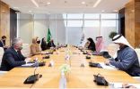 رئيس الطيران المدني يلتقي بنائبة رئيس مجلس الوزراء للاقتصاد والسياسة السكانية ببلغاريا