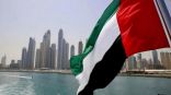 الإمارات تؤكد دعم إرساء السلام واستعادة الدولة في اليمن