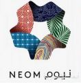 “نيوم” تعلن بدء التسجيل في برنامج مهارات المستقبل