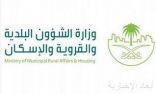 وزارة الشؤون البلدية تصدر إجراءات واشتراطات صحية جديدة في المقاهي
