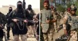 القوات العراقية تعتقل 5 مطلوبين بينهم عنصران من “داعش” ببغداد وصلاح الدين