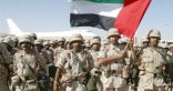 الإمارات واليابان تبحثان سبل تعزيز التعاون العسكرى