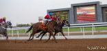 نادي سباقات الخيل يختتم سباقات المرحلة الأولى من موسم سباقات الخيل للمصيف بالطائف