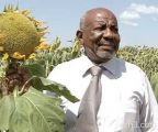 سفير السودان: المملكة الأحق بالاستثمار في أراضينا