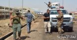 الاستخبارات العراقية تلقى القبض على عنصرين بتنظيم داعش فى كركوك