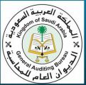 الديوان العام للمحاسبة ينظّم لقاءً عن ” تحقيق كفاءة الإنفاق والاستدامة الاقتصادية في القطاع العام “