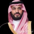 نيابة عن سمو ولي العهد .. سمو أمير منطقة الرياض يرعى حفل سباق الخيل السنوي على كأس سمو ولي العهد