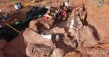 اكتشاف حفريات ضخمة فى الأرجنتين تشير لأحد أقدم وأضخم فصائل الديناصورات