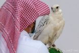 مهرجان الملك عبدالعزيز للصقور يكرّم 18 فائزاً بالملواح في يومه السابع