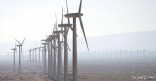«دومة الجندل» لطاقة الرياح يحقق رقماً قياسياً في انخفاض تكلفة الإنتاج