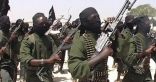 مقتل 6 عناصر من حركة الشباب جنوبى الصومال