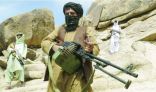 مقتل 222 من طالبان خلال عمليات عسكرية للقوات الأفغانية