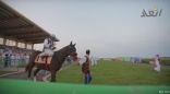 شاهد: فيديو أولى سباقات فروسية الخفجي بدعم الأمير سلطان وسيارة من أرامكو الخليج