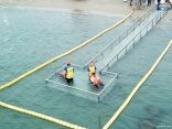 مواطن يقترح إنشاء «ممر مائي» لسباحة ذوي الإحتياجات الخاصة بالخفجي
