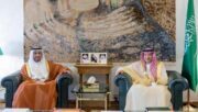 نائب وزير الخارجية يستقبل سفير دولة الإمارات لدى المملكة