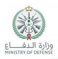 وزارة الدفاع تعلن عن وظائف شاغرة بإدارة الأسلحة والمدخرات