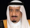 خادم الحرمين الشريفين يعزي رئيس زيمبابوي في وفاة وزيري الخارجية والنقل