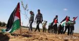 إصابة عشرات الفلسطينيين فى مواجهات مع الجيش الإسرائيلى بالضفة الغربية