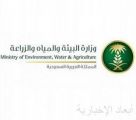“البيئة” تدعو أصحاب الآبار غير المرخصة إلى الاستفادة من مهلة الإعفاء من الغرامة والإفصاح عن آبارهم