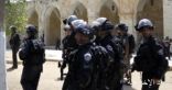 خارجية فلسطين: تصريحات وزيرة الداخلية الإسرائيلية تحريضية ومعادية للسلام