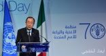 الأمم المتحدة: احتلال إسرائيل للأراضى الفلسطينية يجب إنهاؤه سريعا