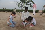 الأهالي والأطفال يشاركون «لنغرسها» في مرحلتها الثانية بكورنيش الخفجي