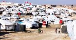 الأمم المتحدة: مقتل 12 سوريا وعراقيا بعد أعمال عنف بمخيم الهول للاجئين