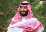 ولي العهد يعلن عن مبادرتي «السعودية الخضراء» و«الشرق الأوسط الأخضر»