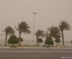 استمرار الرياح السطحية المثيرة للأتربة والغبار على الشرقية
